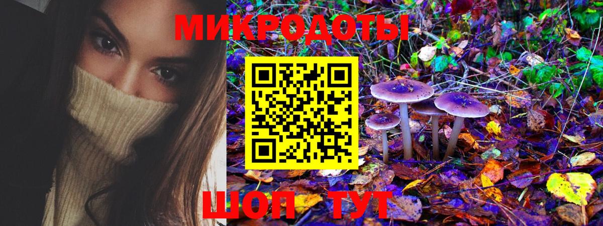 Псилоцибиновые грибы Psilocybe Шуя